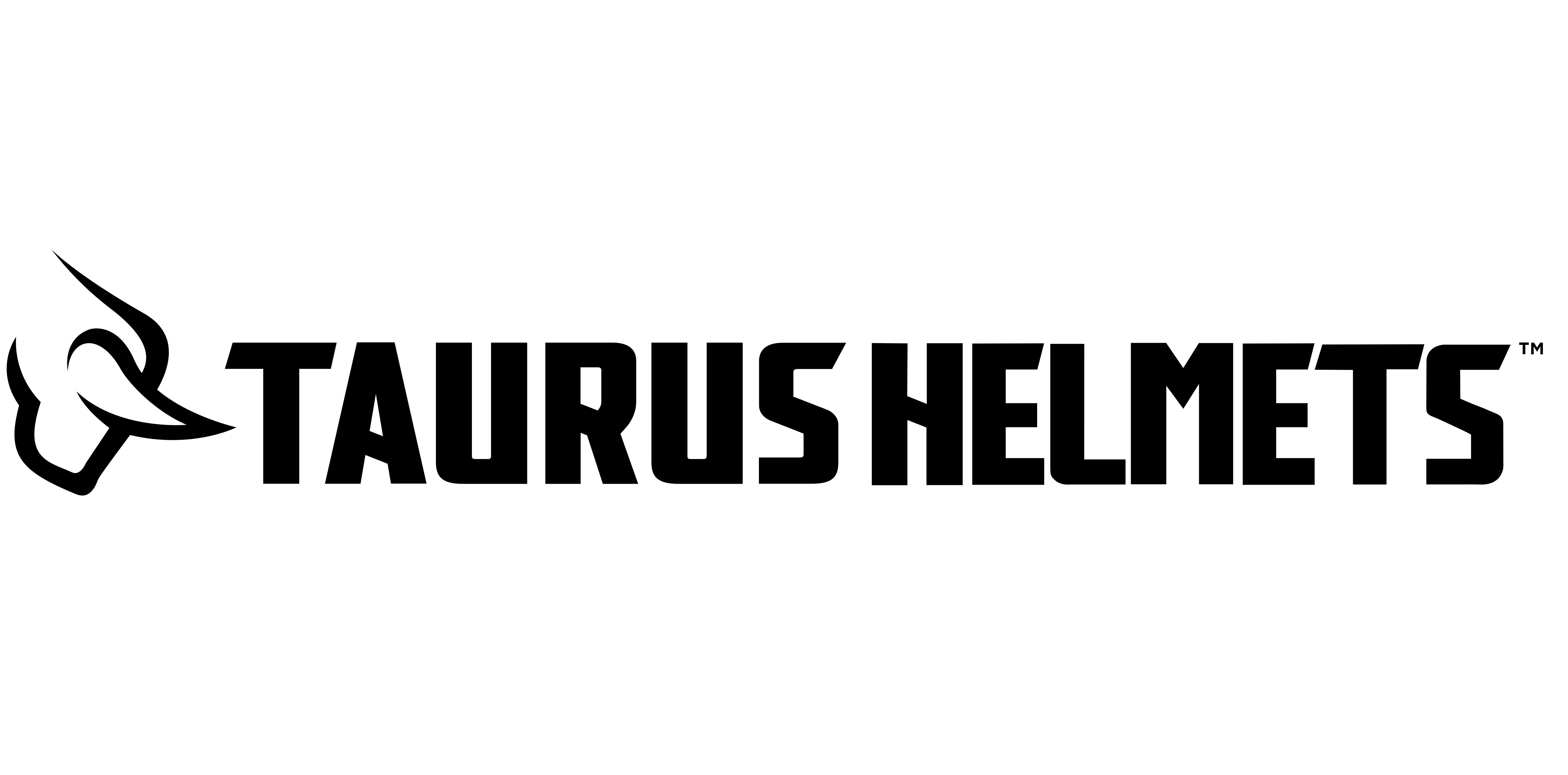 Taurus Helmets